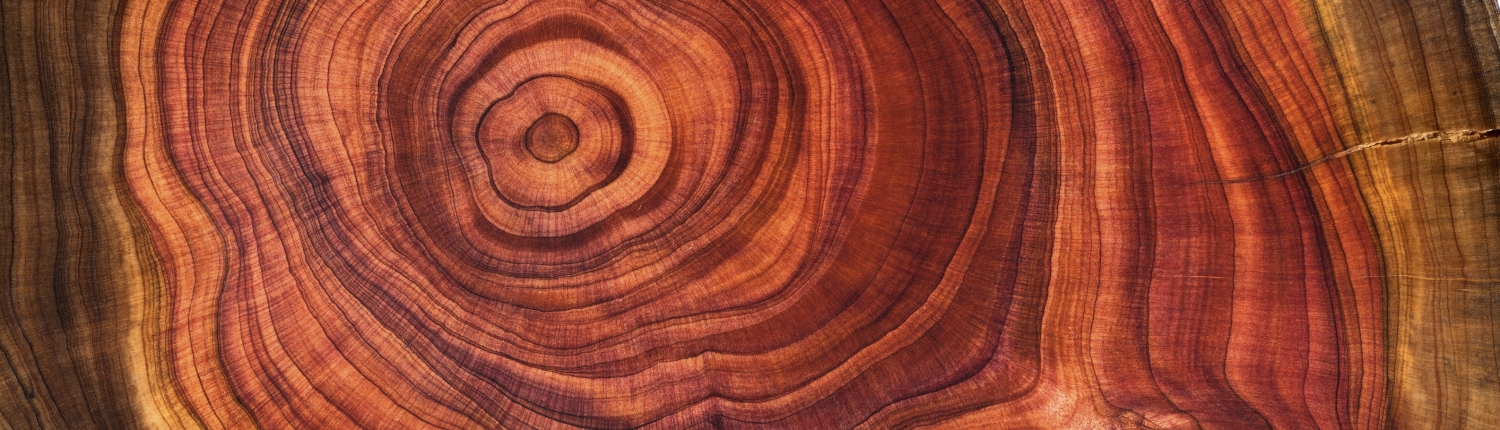 growth with strategy